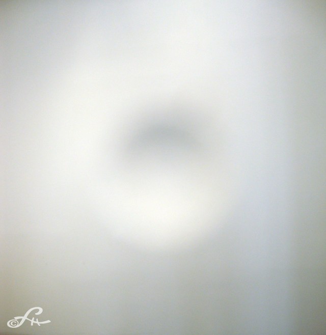 Anish Kapoor Kamel Mennour 6