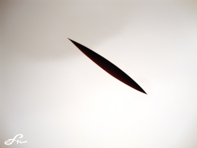 Anish Kapoor Kamel Mennour 8