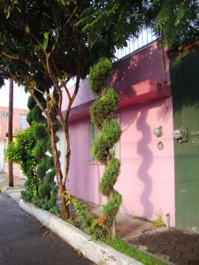 Teotihuacan, Atlisco 325