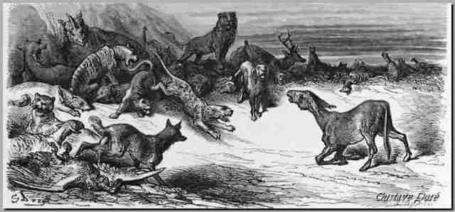 les-animaux-malades-de-la-peste-gustave-dore