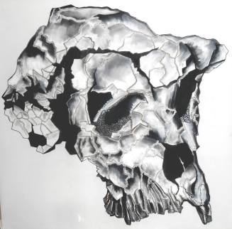 fossile fred lecomte